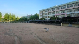 새로이사온곳 산책로.. - 153영상 - -배달심신수련회-(택견&명상)-성북택견회- 새로이사온곳 산책로..