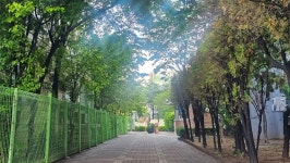 새로이사온곳 산책로.. - 153영상 - -배달심신수련회-(택견&명상)-성북택견회- 새로이사온곳 산책로..