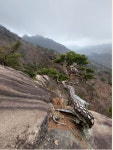 제154차 정기산행(송년산행) 공지 / 장군봉(738m)(전북 완주) - 연합산행 공지 - 새싹 산악회 제154차 정기산행(송년산행) 공지 / 장군봉(738m)... 