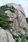 제154차 정기산행(송년산행) 공지 / 장군봉(738m)(전북 완주) - 연합산행 공지 - 새싹 산악회 제154차 정기산행(송년산행) 공지 / 장군봉(738m)... 
