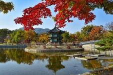 서울특별시시우회동작구회 | 등업을 부탁드립니다, - 등업 신청해요 - 서울특별시시우회 등업을 부탁드립니다,