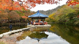 내장산여행(1) - 자유게시판 - 연봉성당 연봉성당