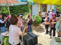 봉사회 사진농장 방문2025.6.7 - 삼광사 행사, 지회, 신행단체 - 부산금강불교대학총동문회 (천태종 삼광사) 봉사회 사진농장 방문2025.6.7