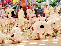 경로잔치2023.5.16 - 자유사진, 동영상 - 부산금강불교대학총동문회 (천태종 삼광사) 경로잔치2023.5.16