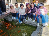 봉사회 사진농장 방문2025.6.7 - 삼광사 행사, 지회, 신행단체 - 부산금강불교대학총동문회 (천태종 삼광사) 봉사회 사진농장 방문2025.6.7