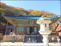 題 : 천년숲 바람길에 낙엽이여...( 221105 ) - 山是山 水是水 - 목우재 목우재