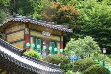 2022년 석가탄신일~~~ - 자료실(앨범) - 보문산 송학사 2022년 석가탄신일~~~