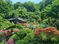 2022년 석가탄신일 행사~~~ - 공부방 - 보문산 송학사 2022년 석가탄신일 행사~~~