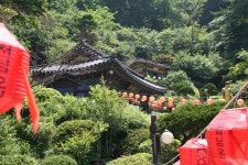 송학사 2021년05월19일 석가탄신일 행사 사진입니다... - 송학사연혁 - 보문산 송학사 송학사 2021년05월19일 석가탄신일 행사 사진입니다...