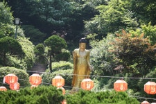송학사 석가탄신일 행사 사진... - 자료실(앨범) - 보문산 송학사 송학사 석가탄신일 행사 사진...