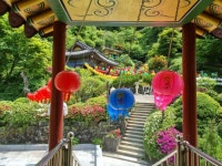 송학사 2022년 부처님오시는날 행사~ - 지대방 - 보문산 송학사 송학사 2022년 부처님오시는날 행사~