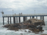 경북.강구(둘래길)블루로드해파랑길 - ..............정기 산행 사진 - 부산,와석골 산악회 경북.강구(둘래길)블루로드해파랑길