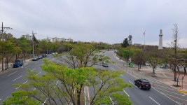 도화꽃 핀 망우당공원 - 누구나 사진방 - 영양군 대구 개인택시 향우회 도화꽃 핀 망우당공원