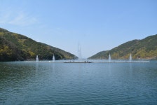 옥연지 분수 - 누구나 사진방 - 영양군 대구 개인택시 향우회 옥연지 분수