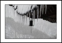 풍경소리 - ☞ 일반 갤러리 - (사)한국사진작가협회 안양지부 풍경소리