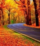 산사의 초겨울 - 일반 게시판 - 강남vip산악회 산사의 초겨울