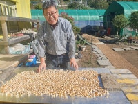 은행 - 하동일지 - 영월 마대산장 은행