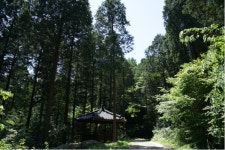 2025년08월24일 전북 장성 대한민국 최대의 편백숲 축령산 산행안내 - 참가신청 - 진주광제산악회 진주광제산악회