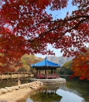 2025년10월26일 전북정읍 내장산 산행안내... - 참가신청 - 진주광제산악회 진주광제산악회