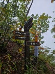 유명산 용문산 1일 2산 BAC100 - ──· 서울*경기 - 대구드림산악회 유명산 용문산 1일 2산 BAC100