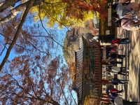 내장산 단풍산행 - ──· 전라도 - 대구드림산악회 내장산 단풍산행