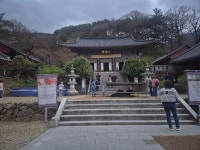 하개장터~쌍계사 - ──· 경상도 - 대구드림산악회 하개장터~쌍계사