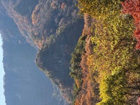 내장산 단풍산행 - ──· 전라도 - 대구드림산악회 내장산 단풍산행