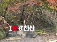 강천산 가을여행(25.11.9.일요일) - ──· 전라도 - 대구드림산악회 강천산 가을여행(25.11.9.일요일)