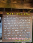 백암산(상왕봉)-장성★애기단풍★ BAC100 - ──· 전라도 - 대구드림산악회 백암산(상왕봉)-장성★애기단풍★ BAC100