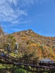지리산 노고단~피아골 [251106] - ──· 전라도 - 대구드림산악회 지리산 노고단~피아골 [251106]
