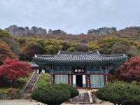 내장산+내장사 단풍길[251108/토] - ──· 전라도 - 대구드림산악회 내장산+내장사 단풍길[251108/토]