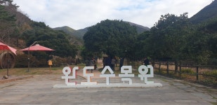 2323. 12월 완도수목원, 달마산 사진 - 12월 완도수목원/달마산 - 다정큼나무모임 2323. 12월 완도수목원, 달마산 사진