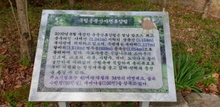 2023.4월 신불산, 간월산 - 4월 신불산/간월산 - 다정큼나무모임 2023.4월 신불산, 간월산