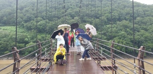 22.8월 산막이옛길 풍경 - 8월산막이옛길 - 다정큼나무모임 22.8월 산막이옛길 풍경