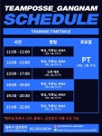 선릉 역삼 [복싱 킥복싱] 새해 운동은 팀파시 강남 에서 시작하세요 - [팀파시] 복싱/킥복싱/MMA - 팀파시강남 복싱/킥복싱/주짓수/다이어트 (02... 