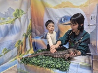 쥬니멀 데이 🦎 - 해님반 - 디즈니영아전담 어린이집 쥬니멀 데이 🦎