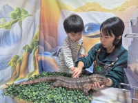 쥬니멀 데이 🦎 - 2025 디즈니 공지사항 - 디즈니영아전담 어린이집 쥬니멀 데이 🦎