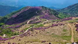 환상의 철쭉평전 황매산길 03 - 타산악회 동영상 - 당진 원당산악회 당진 원당산악회