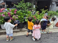 7월 1주 더운 여름이 왔어요 - 달이3반포토샵(1세) - 서울시지정 영아전담 당성어린이집 02)2069-2345 7월 1주 더운 여름이 왔어요