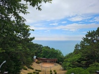 해운대 달맞이길 - 야호! 산행 후기 - 야호트레킹투어 해운대 달맞이길