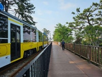 송정.청사포.해운대 - 야호! 산행 후기 - 야호트레킹투어 송정.청사포.해운대