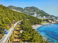 해운대 달맞이길 - 야호! 산행 후기 - 야호트레킹투어 해운대 달맞이길