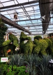 안산식물원 열대전시관 - 일반 게시판 - 발길이 머물렀던 곳 안산식물원 열대전시관