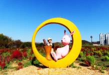 만추의 인천 드림파크 야생화공원 2 - 일반 게시판 - 발길이 머물렀던 곳 만추의 인천 드림파크 야생화공원 2