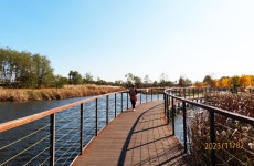 만추의 인천 드림파크 야생화공원 2 - 일반 게시판 - 발길이 머물렀던 곳 만추의 인천 드림파크 야생화공원 2