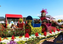 예산장터 3국(국화,국밥,국수)축제 - 일반 게시판 - 발길이 머물렀던 곳 예산장터 3국(국화,국밥,국수)축제