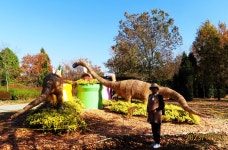 만추의 인천 드림파크 야생화공원 2 - 일반 게시판 - 발길이 머물렀던 곳 만추의 인천 드림파크 야생화공원 2