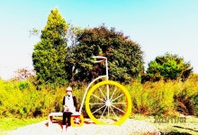 만추의 인천 드림파크 야생화공원 2 - 일반 게시판 - 발길이 머물렀던 곳 만추의 인천 드림파크 야생화공원 2