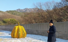 과천, 국립현대미술관 과천 - 일반 게시판 - 발길이 머물렀던 곳 과천, 국립현대미술관 과천