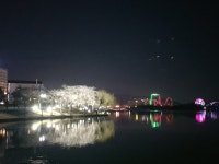 (전국)라인댄스지도사,실버댄스지도사,자격증과정 - 한국운동교육협회 - 천년웃음치료연구소, 미래창조강사파견,기업교육, (전국)라인댄스지도사... 